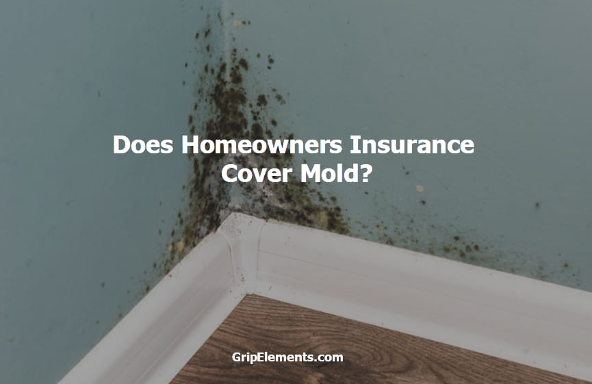 Does Homeowners Insurance Cover Mold GripElements