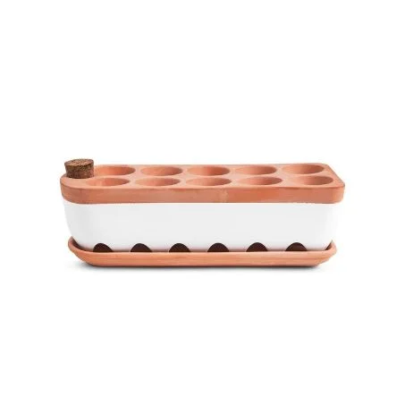Amazon seed starter tray