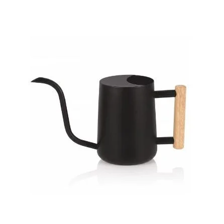 Walmart watering can