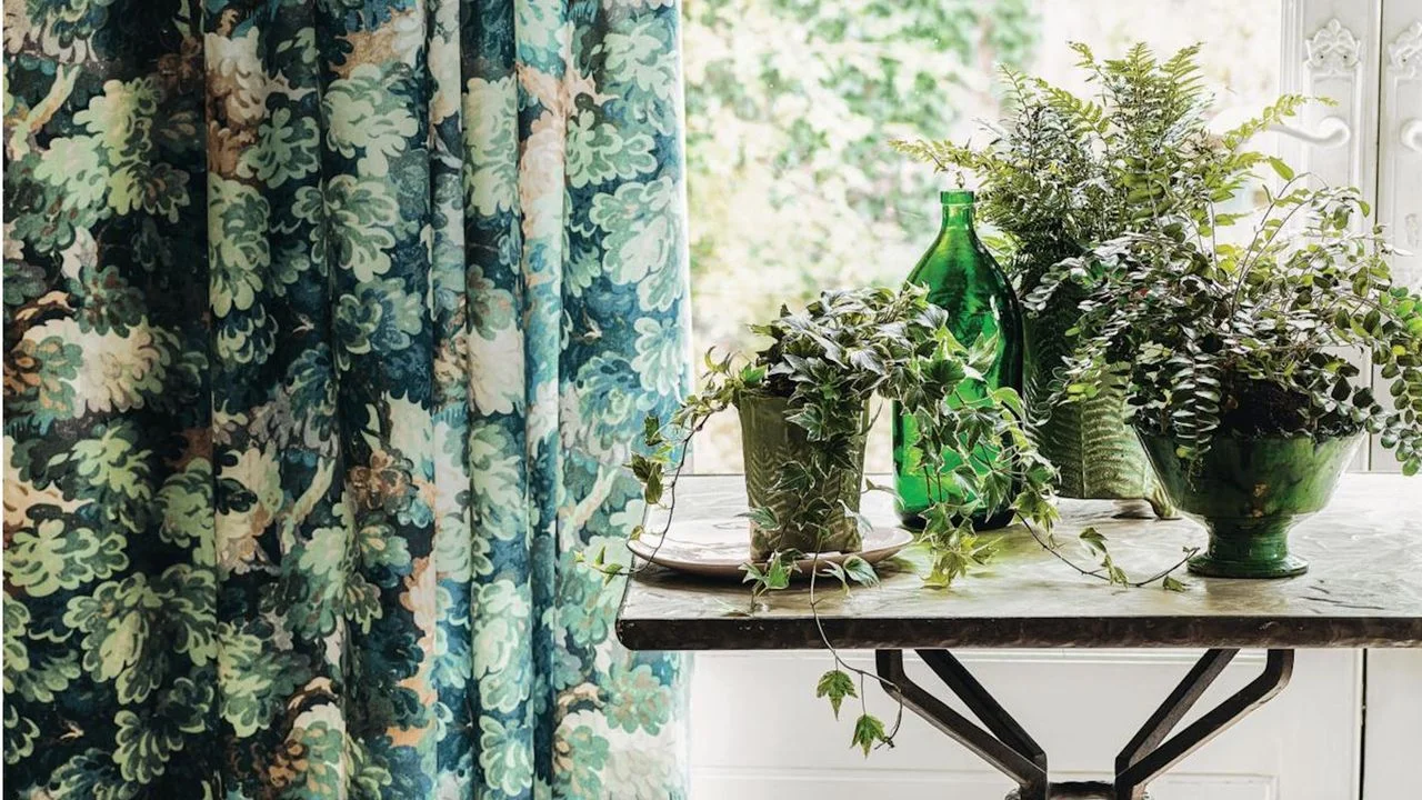 Avoid Fertilizing Houseplants in September to Prevent Damage