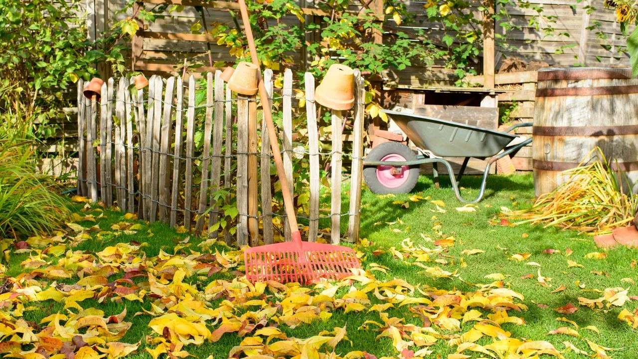 Essential Gardening Tasks to Complete This Fall for Spring Success