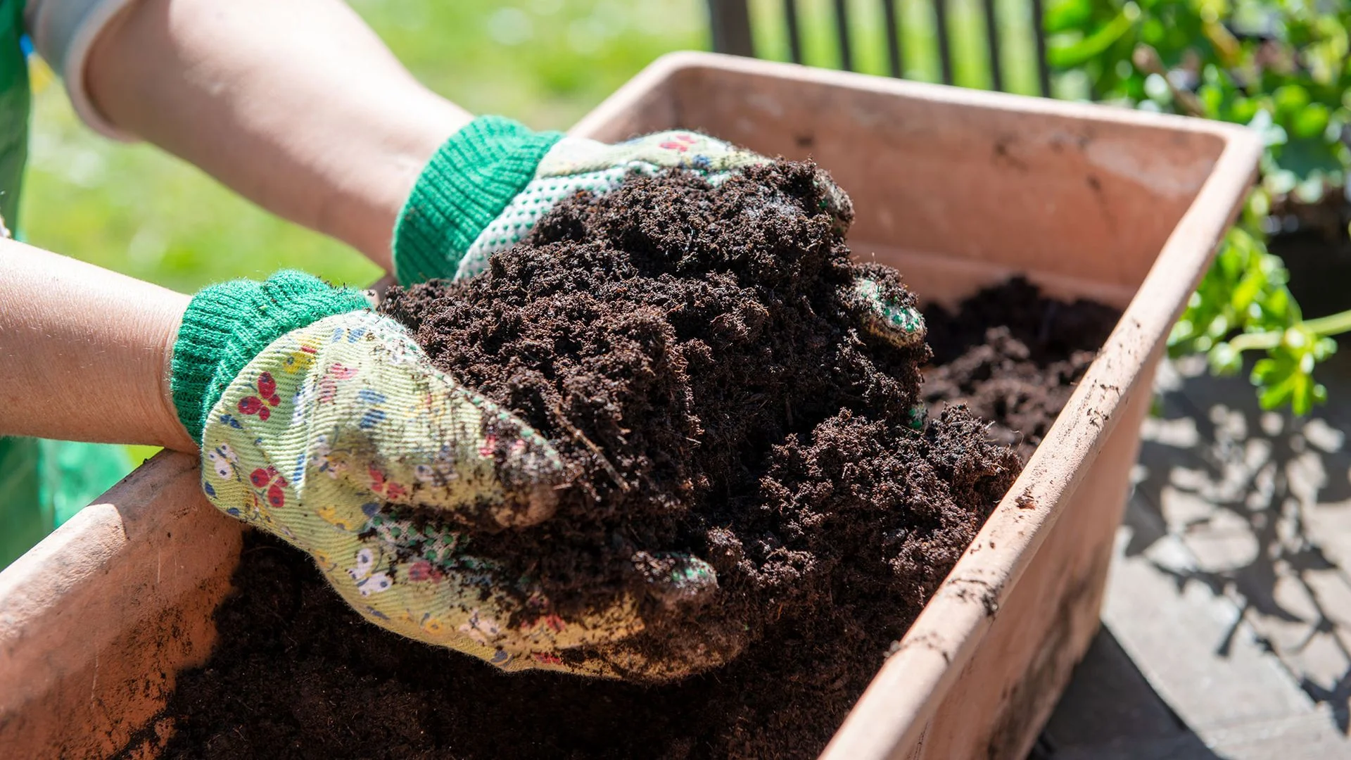 Understanding the Distinct Roles of Compost and Topsoil in Gardening