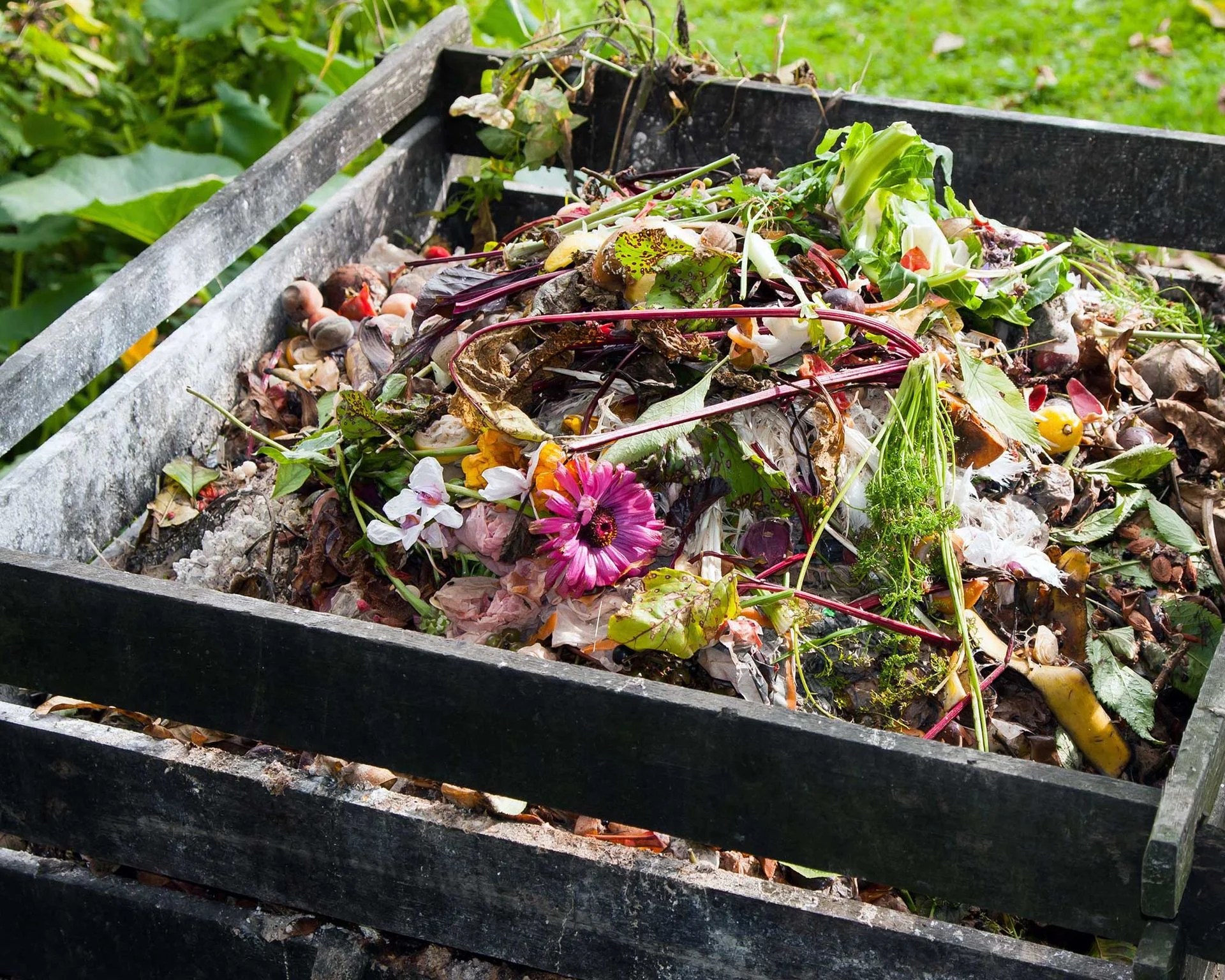compost bin