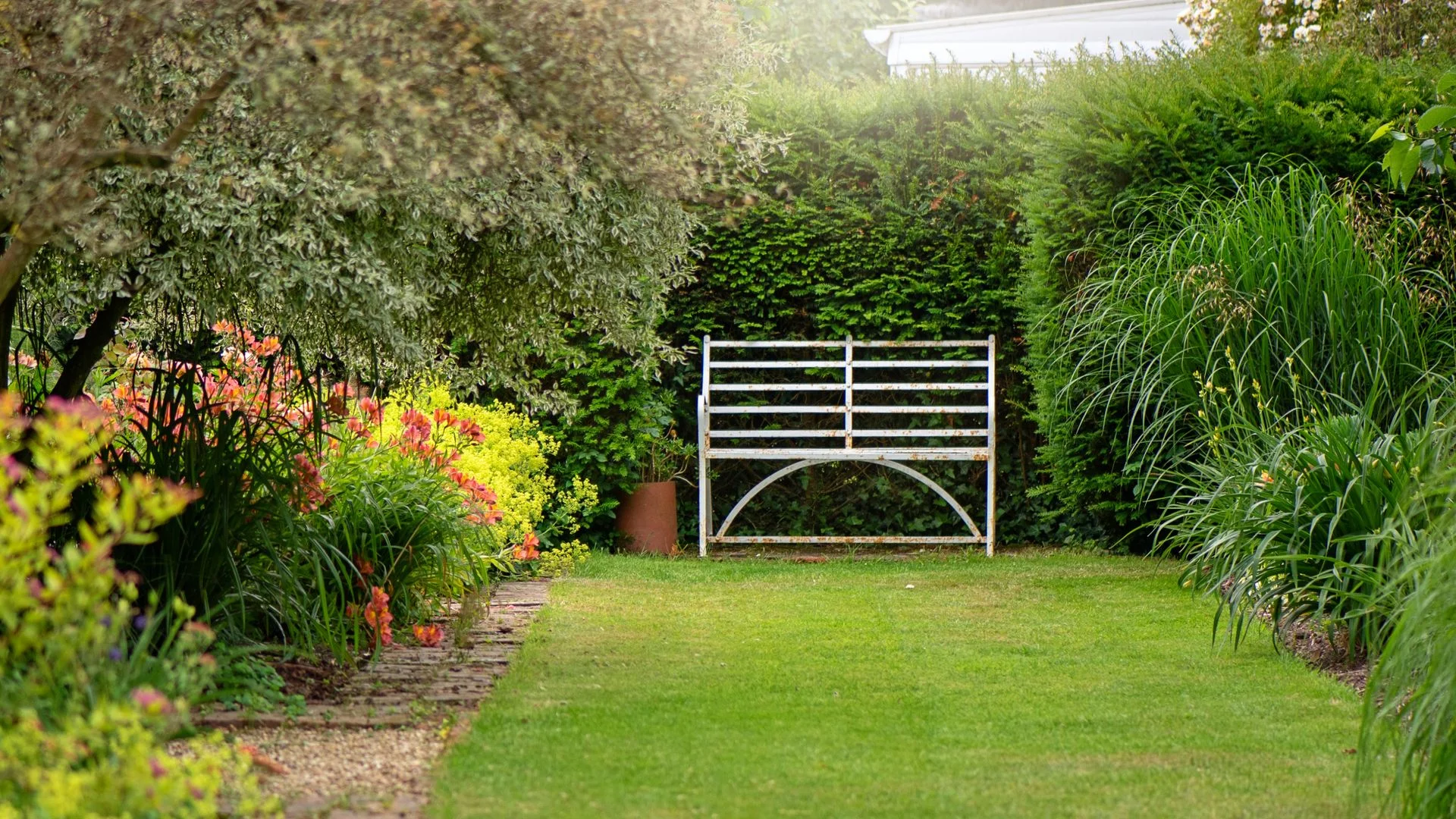 Top 12 Hedging Plants for UK Gardens: Aesthetic and Practical Benefits
