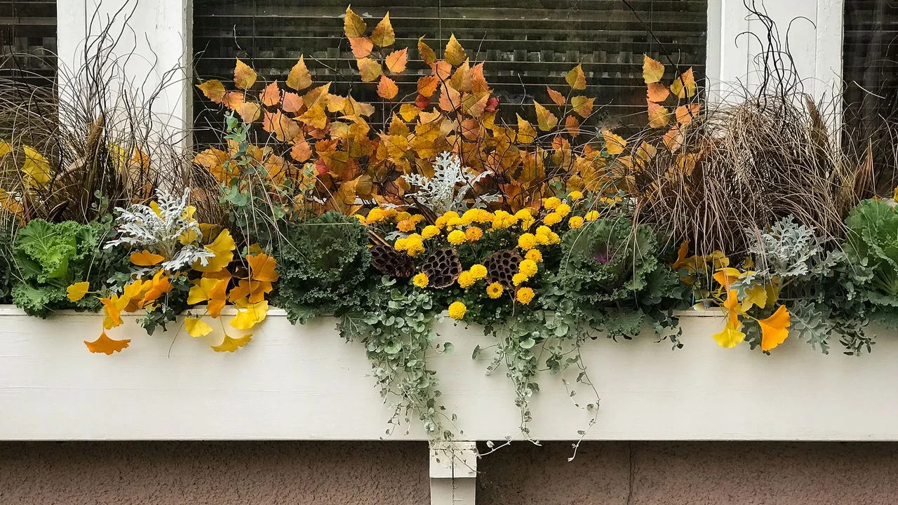 Enhance Your Home's Curb Appeal with Gorgeous Autumn Window Boxes