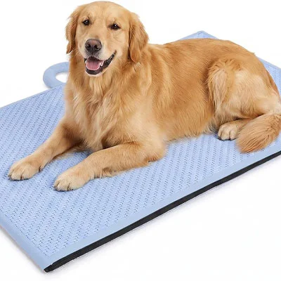 pet cooling mat with Golden Retriever