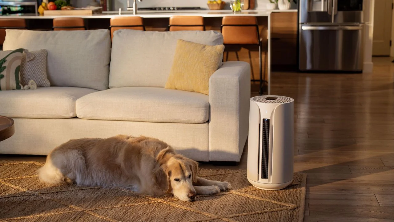 Balancing Underfloor Heating and Pet Comfort: What Homeowners Need to Know