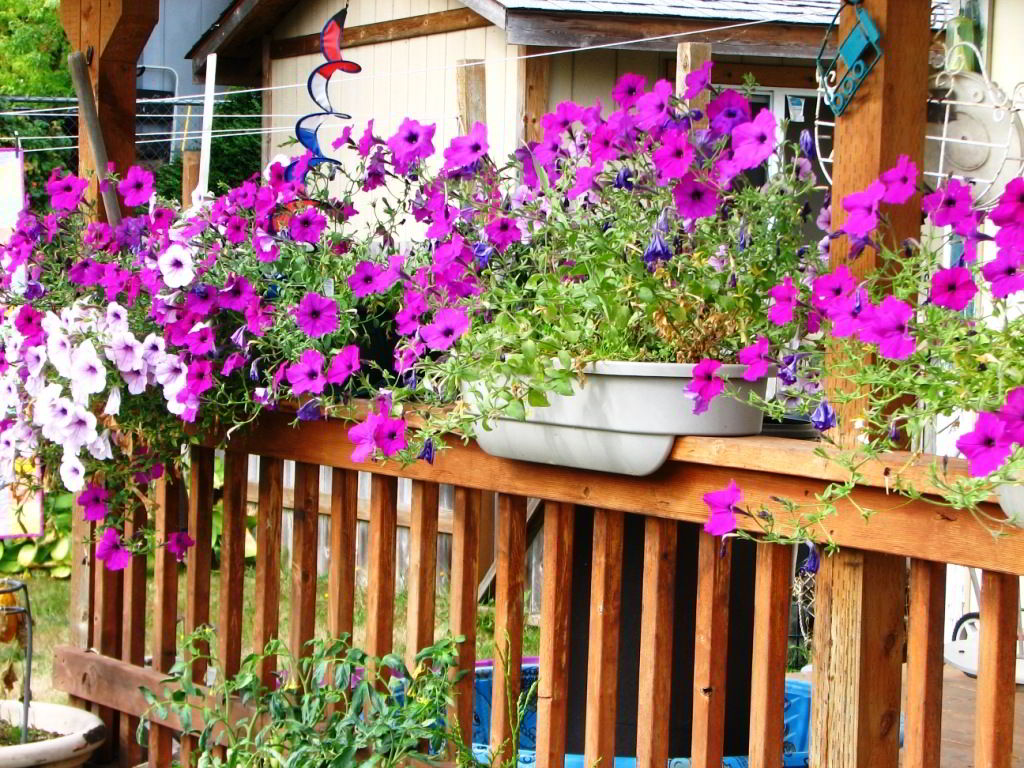 14 Best Deck Planter Ideas To Inspire Your Garden Transformation