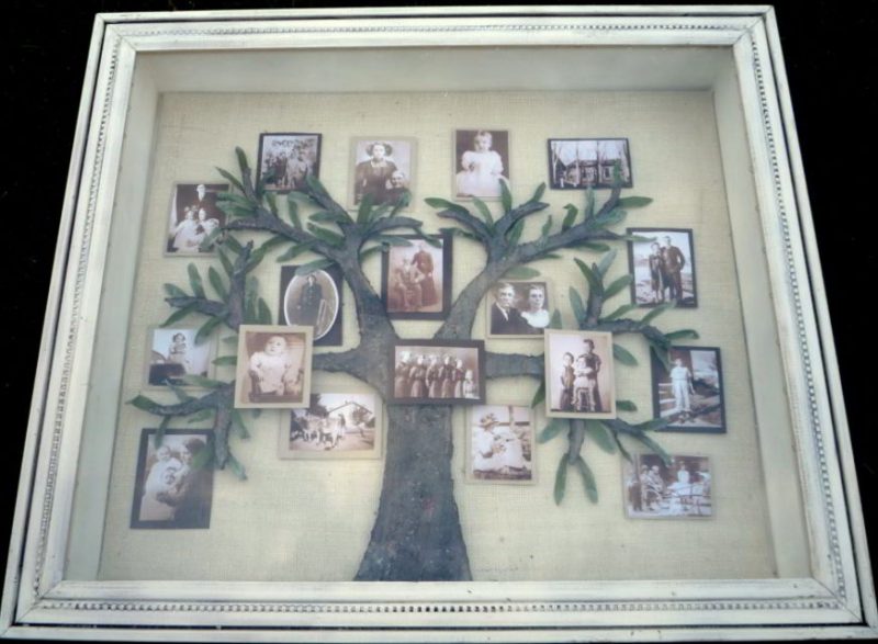 Family Tree Shadow Box Ideas