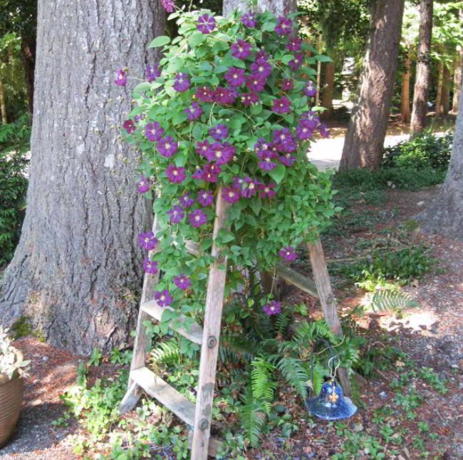 Step Ladder Tower Ideas