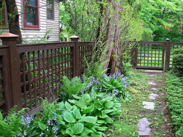 Lattice Border Fence