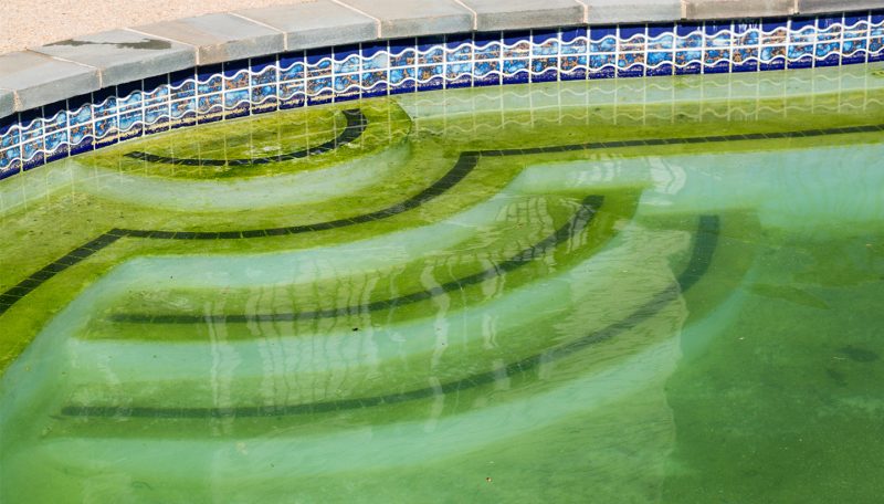 How to Clean a Green Pool In 7 Steps