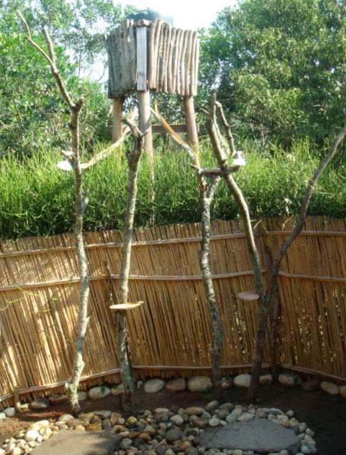 Best Natural shower ideas