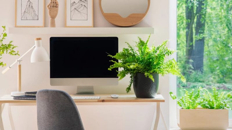 fun home office ideas