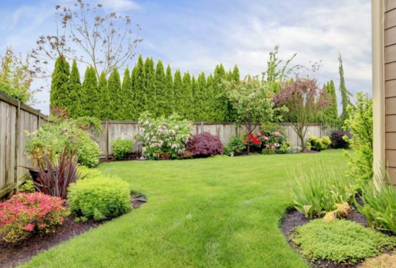 Tips for Protecting Your Lawn