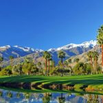 palm springs vacation