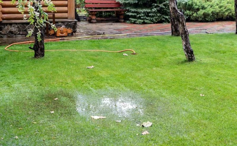 How to Stop Water Runoff From Neighbors Yard