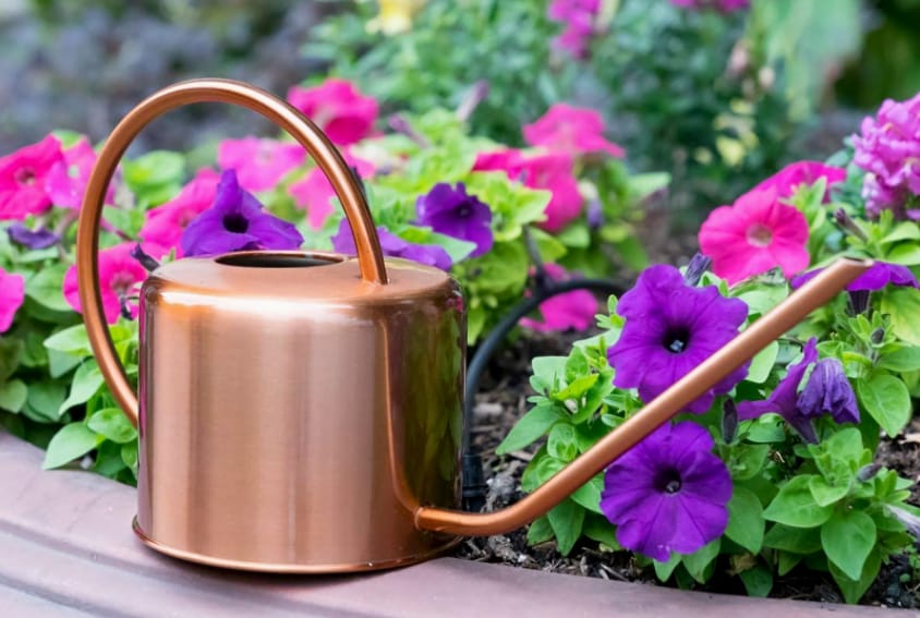 Are Copper Watering Cans Good for Plants