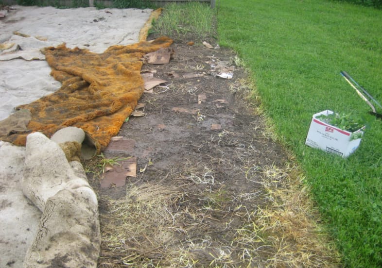 Carpet to Kills Weeds GRIP ELEMENTS