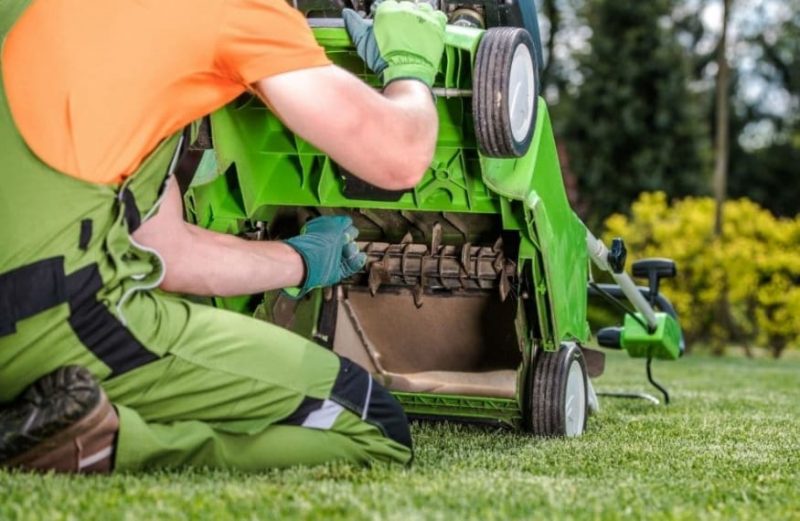 Do Dethatching Lawn Mower Blades Work