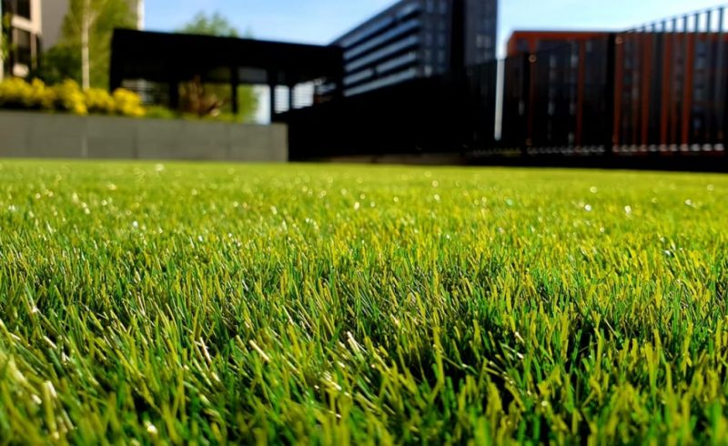 Make Your Lawn Green and Full