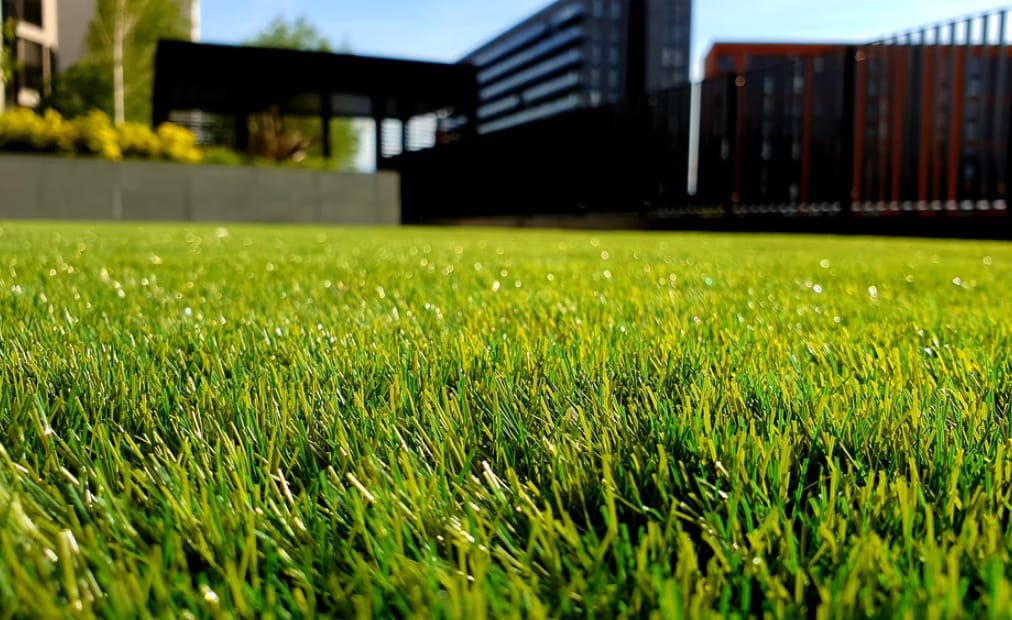 Make Your Lawn Green and Full