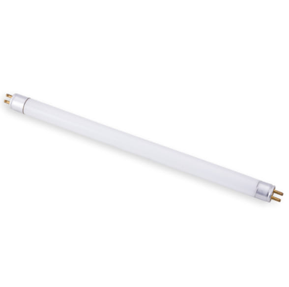 Types of Light Bulbs