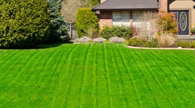 Tips On Taking Care Of A Large Yard