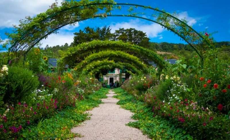 Things Every Gardener Needs