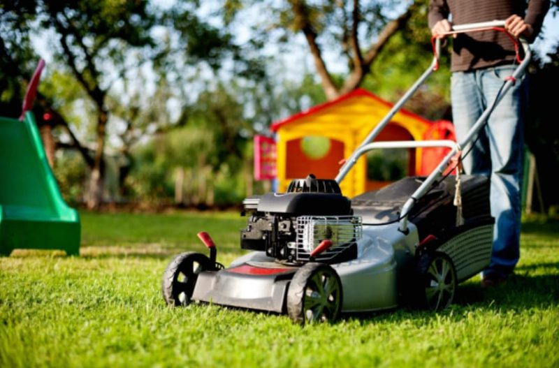 Are Lawn Care Services Worth It