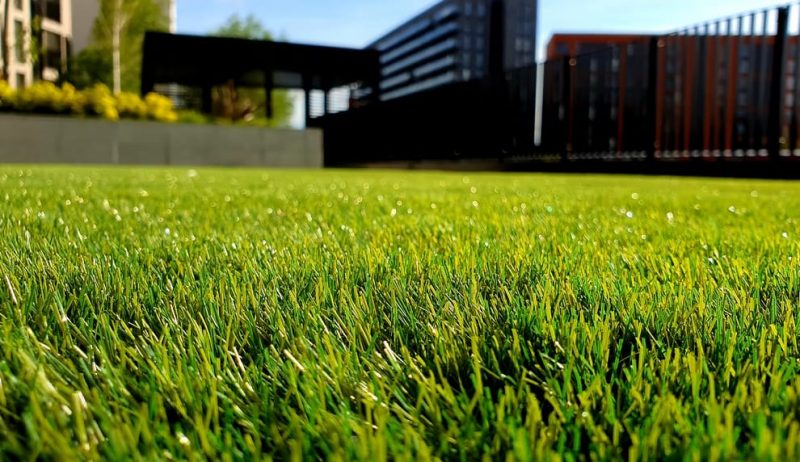 Things That Can Make Your Backyard Look Beautiful