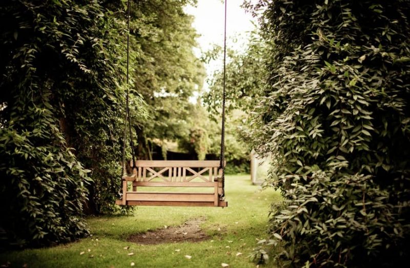 Transform Your Garden and Make It Fun and Useful