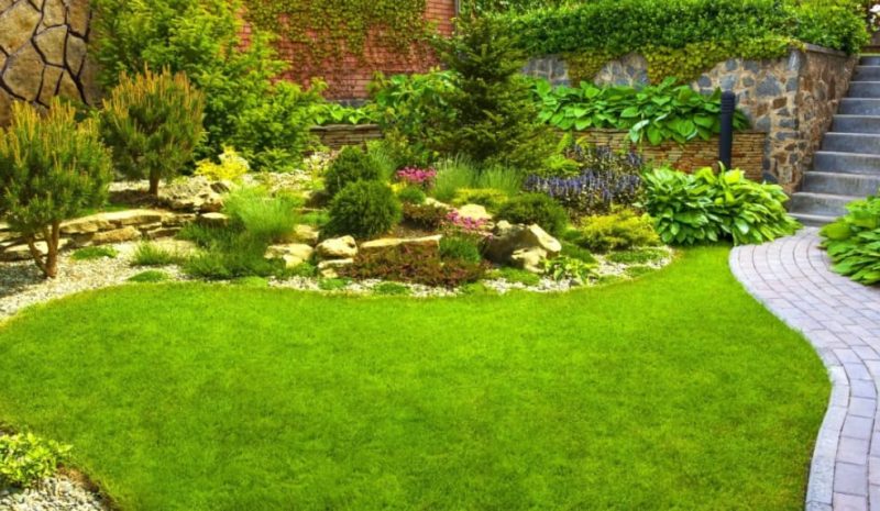 what type of services do landscapers provide