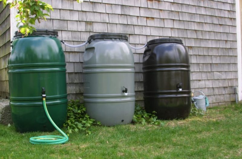 Do Rain Barrels Really Work