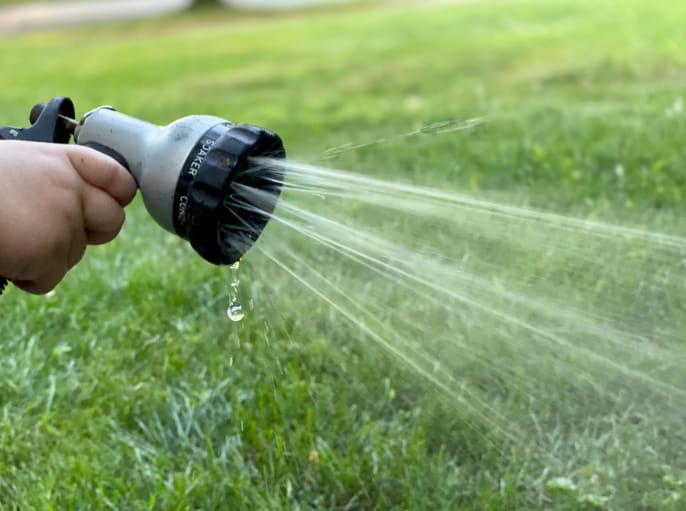 the Right Time for Watering Artificial Grass