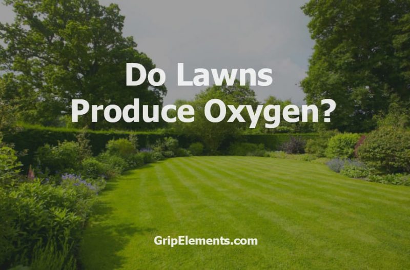 Do Lawns Produce Oxygen