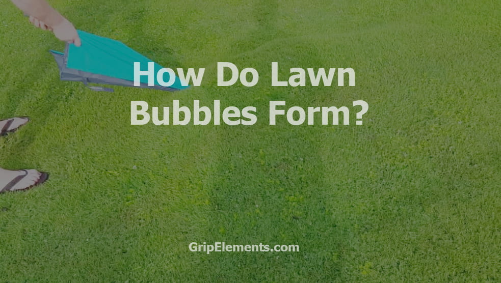 How Do Lawn Bubbles Form?