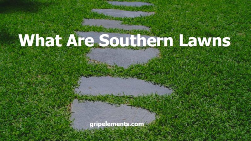 What Are Southern Lawns