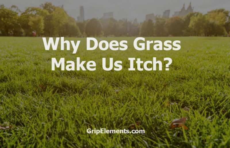 Why Does Grass Make Us Itch