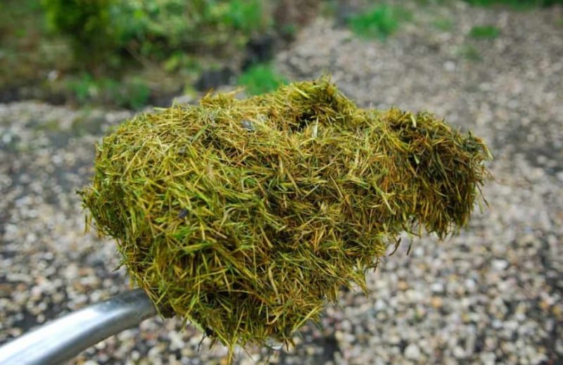 do lawn clippings make good mulch