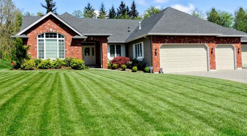 do lawns reseed themselves