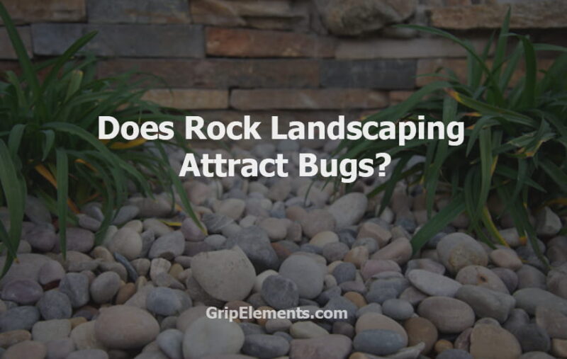 Does Rock Landscaping Attract Bugs