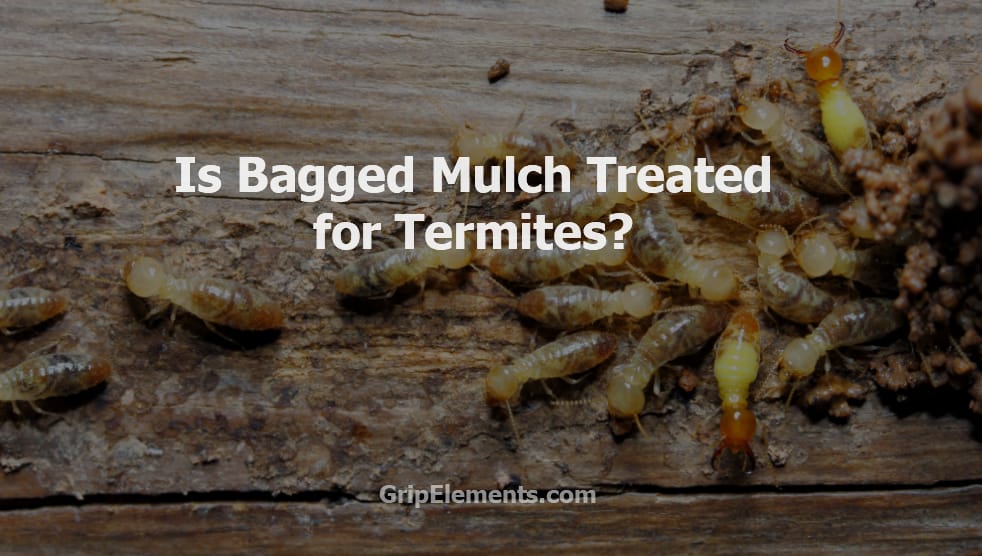 Is Bagged Mulch Treated for Termites? GripElements