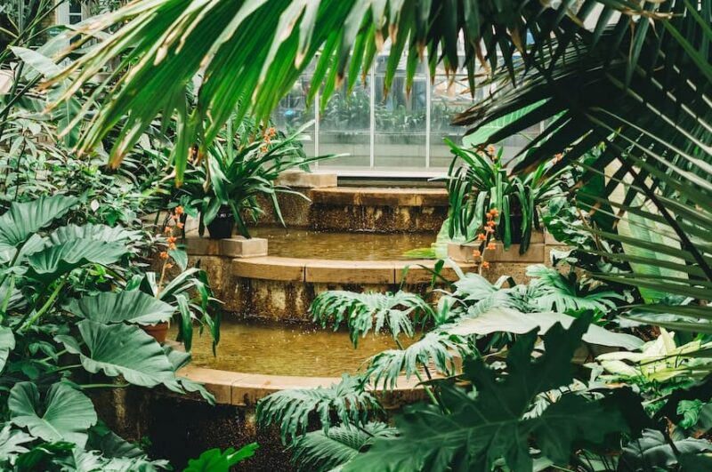 Buying a Fountain to Improve Your Home's Appearance