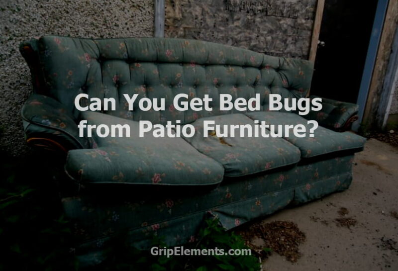 Can You Get Bed Bugs from Patio Furniture