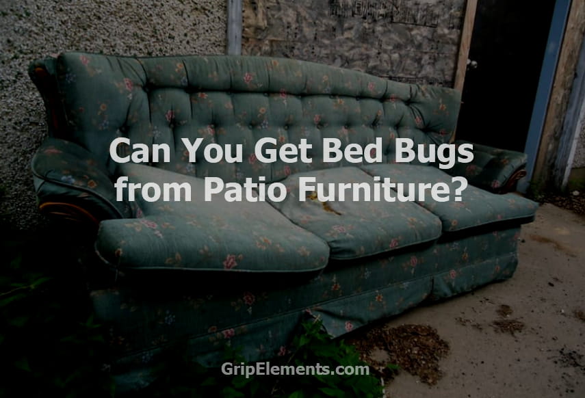 can you get bed bugs in leather sofa