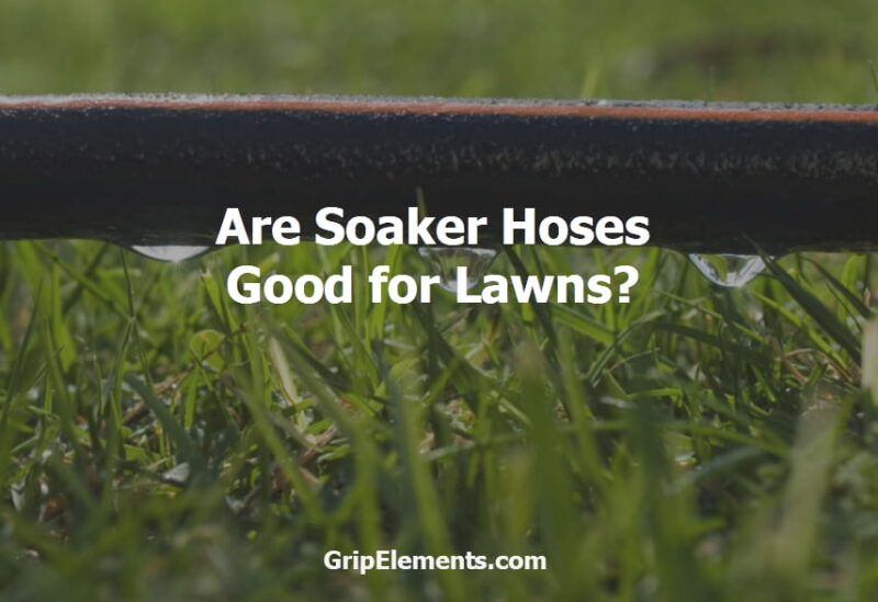 Are Soaker Hoses Good for Lawns 1