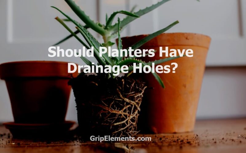 Should Planters Have Drainage Holes 1