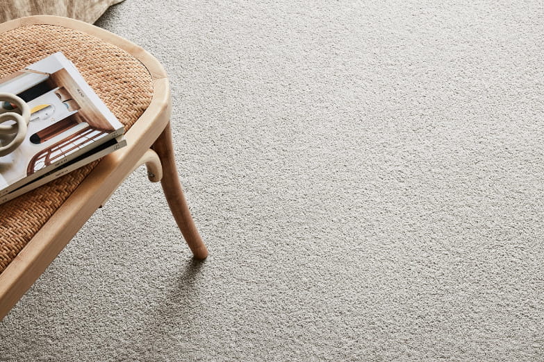 types of carpet beetles