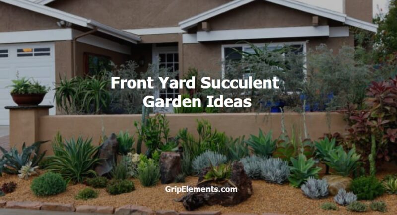 Front Yard Succulent Garden Ideas